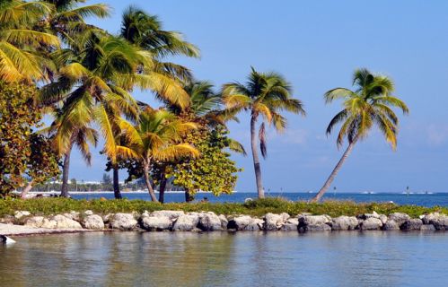 Flights to the USA from Manchester Airport